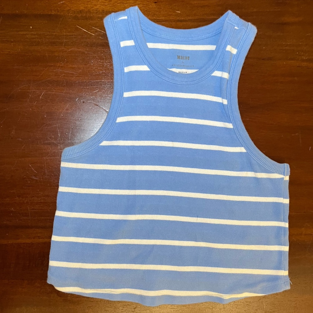 Madewell Blue and White Striped Tank Top